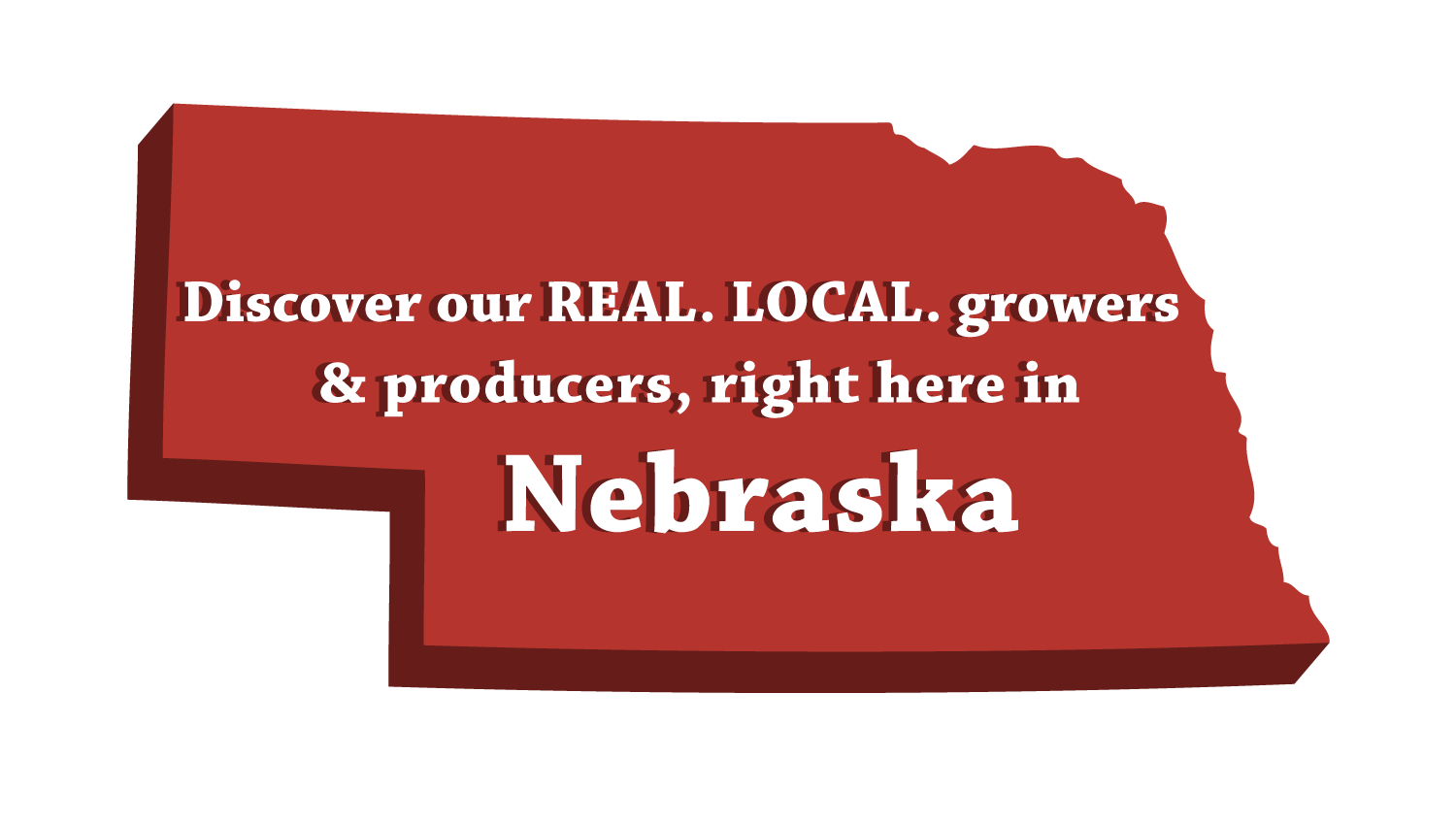ne-real-local-state-1